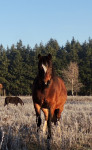 Viva geniet van de kou in de winterwei van Veluwe Mentocht